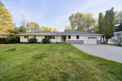Lake Home For Sale in Kaleva, Michigan