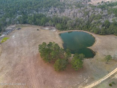 Lots 4, 5 and 6 Kahler Lane totaling 6.525 acres. Beautiful - photo 3