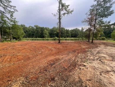 Lake Eddins Waterfront Lot, Ready For Action! - Lake Lot For Sale in Pachuta, Mississippi