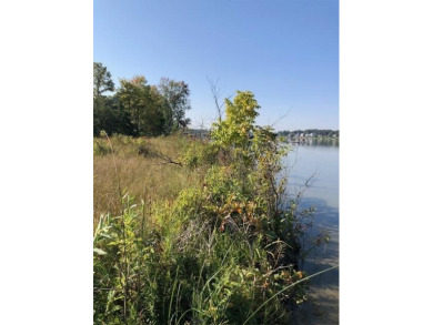 Baldwin Lake - Vacant Land 106 Ft of Water - Lake Lot For Sale in Union, Michigan