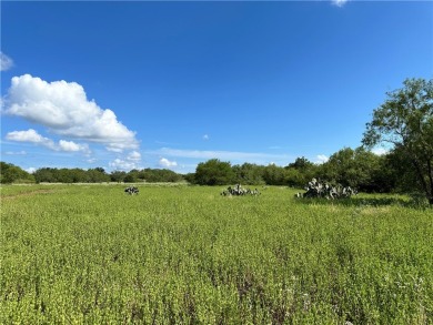 Lake Corpus Christi Acreage For Sale in Sandia Texas