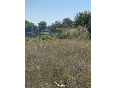 Baldwin Lake - Vacant Land 46 Ft of Water - Lake Lot For Sale in Union, Michigan