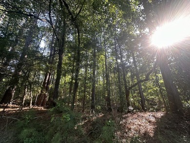 Discover the potential of this beautiful 6-acre tract on - photo 14