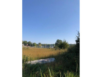 Baldwin Lake - Vacant Land 51 Ft of Water - Lake Lot For Sale in Union, Michigan