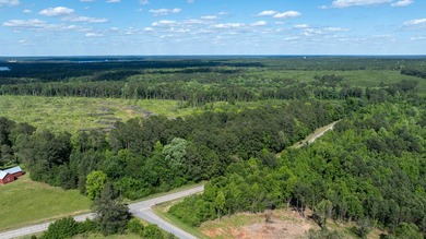 Discover the potential of this beautiful 6-acre tract on - photo 22