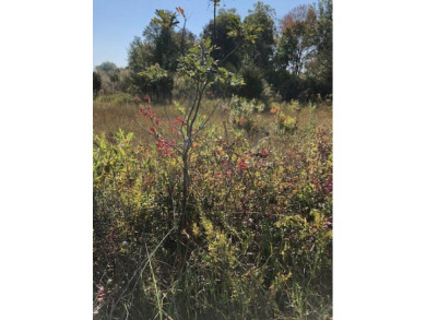 Baldwin Lake - Vacant Land 45 Ft of Water - Lake Lot For Sale in Union, Michigan