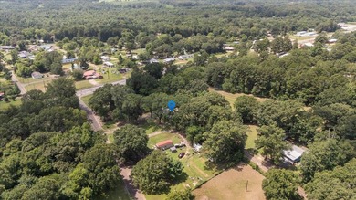 Looking for the perfect place to enjoy East Texas lake living? - photo 36