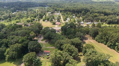 Looking for the perfect place to enjoy East Texas lake living? - photo 39