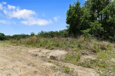 Investor opportunity in the growing community of Inverness - photo 39