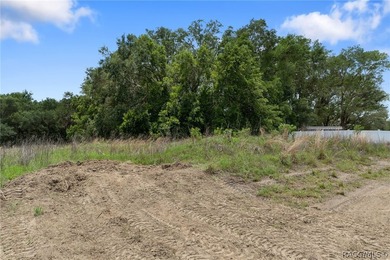 Investor opportunity in the growing community of Inverness - photo 41