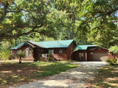 Lake Home For Sale in Bitely, Michigan