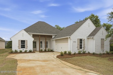 Welcome to this stunning new construction Acadian-style home in - photo 2