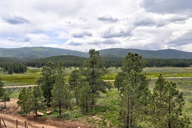 Elevated mountain living awaits in this beautifully built - photo 15