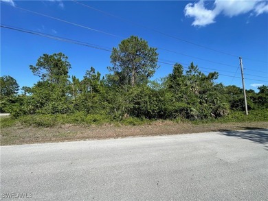 Lehigh Acres Area Lot For Sale in Lehigh Acres Florida