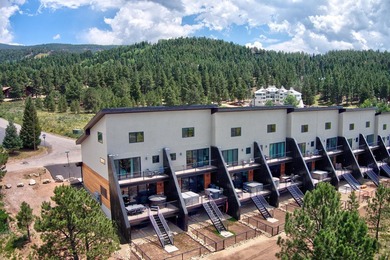 Elevated mountain living awaits in this beautifully built - photo 34