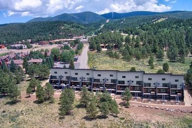 Elevated mountain living awaits in this beautifully built - photo 35
