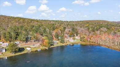 Upstate NY Lake House , Access, views  acreage - photo 19