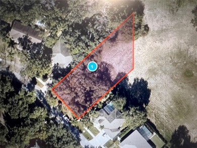 Lake Lot For Sale in Minneola, Florida