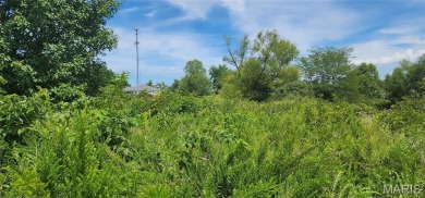 85 Maggie Lane is in Makanda Township in the Magnuson - photo 9