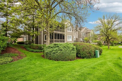 Experience the height of luxury living in one of Naperville's - photo 29
