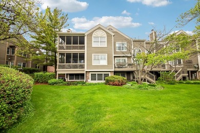 Experience the height of luxury living in one of Naperville's - photo 30