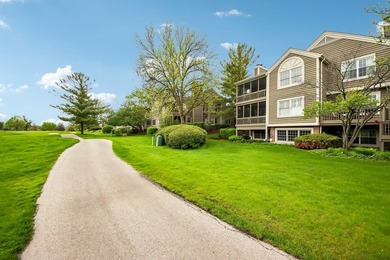 Experience the height of luxury living in one of Naperville's - photo 31