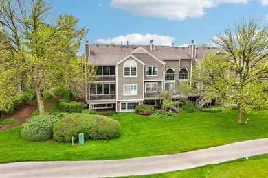 Experience the height of luxury living in one of Naperville's - photo 32