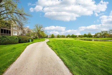 Experience the height of luxury living in one of Naperville's - photo 33