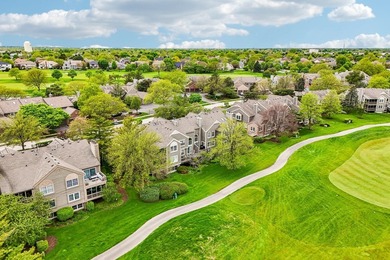 Experience the height of luxury living in one of Naperville's - photo 34