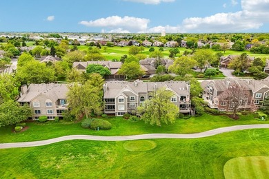 Experience the height of luxury living in one of Naperville's - photo 35