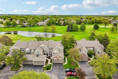 Experience the height of luxury living in one of Naperville's - photo 37