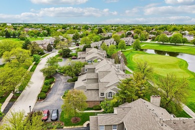 Experience the height of luxury living in one of Naperville's - photo 38
