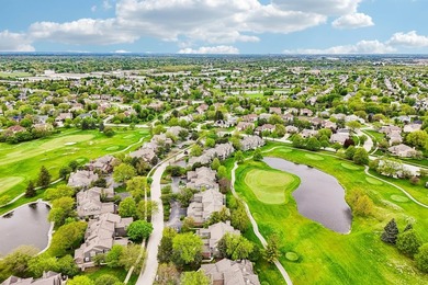Experience the height of luxury living in one of Naperville's - photo 40