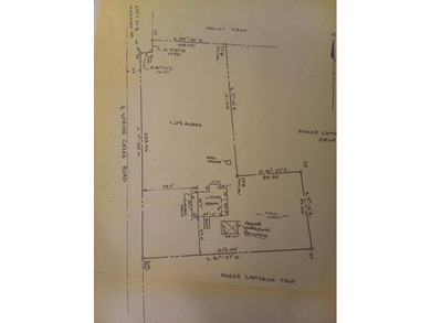 Farmhouse with acreage! Motivated Seller! Make offer on all or - photo 49