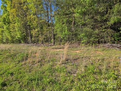 Lake Norman Acreage For Sale in Sherrills Ford North Carolina