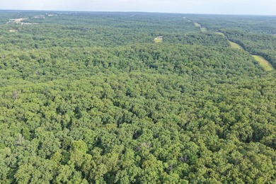 What a opportunity to own a big tract of land right in the city - photo 4