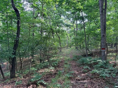 What a opportunity to own a big tract of land right in the city - photo 7