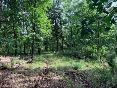 What a opportunity to own a big tract of land right in the city - photo 8