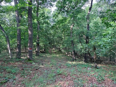What a opportunity to own a big tract of land right in the city - photo 9