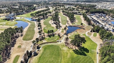 Welcome to World Tour, one of Myrtle Beach's most sought-after - photo 30