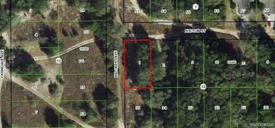 Citrus Lake  Lot For Sale in Inverness Florida
