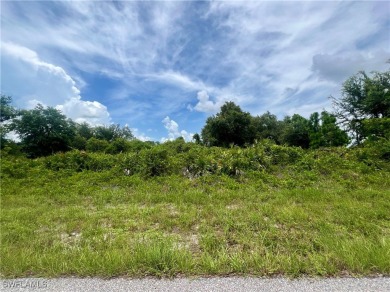 Port Charlotte Waterway Lakes Area Lot For Sale in Port Charlotte Florida