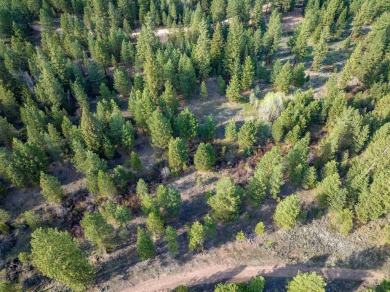(private lake, pond, creek) Acreage For Sale in Placerville Idaho