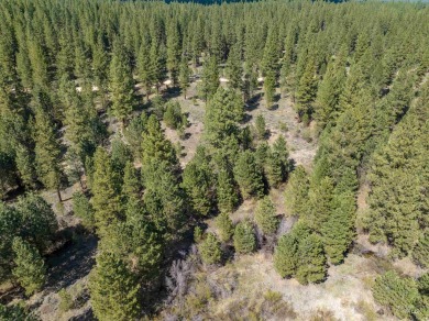 (private lake, pond, creek) Acreage For Sale in Placerville Idaho