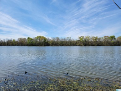 Lay Lake Acreage For Sale in Childersburg Alabama