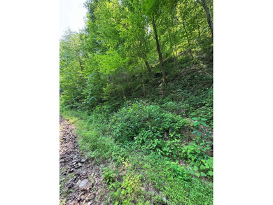 Opportunity Knocks to own this 88.41 acre parcel close to - photo 11