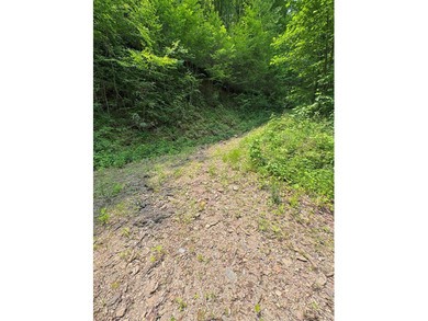 Opportunity Knocks to own this 88.41 acre parcel close to - photo 13