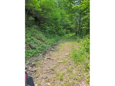Opportunity Knocks to own this 88.41 acre parcel close to - photo 14