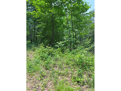 Opportunity Knocks to own this 88.41 acre parcel close to - photo 15