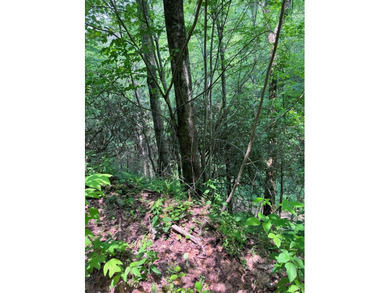 Opportunity Knocks to own this 88.41 acre parcel close to - photo 16